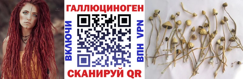 Галлюциногенные грибы ЛСД  Александровское 